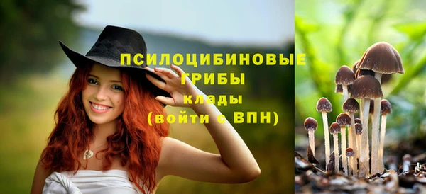 стаф Наволоки