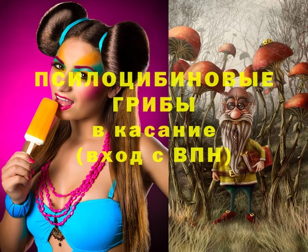 герыч Белая Холуница