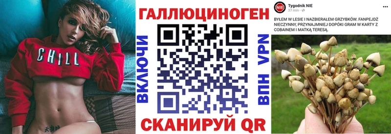 как найти закладки  KRAKEN ссылка  Псилоцибиновые грибы Magic Shrooms  Судогда 